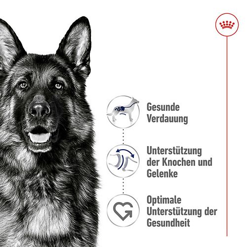 Royal Canin MAXI Adult Trockenfutter für große Hunde Vorteile