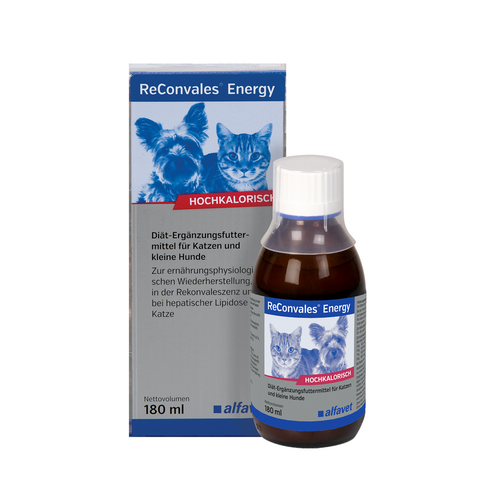 ReConvales Energy 180ml