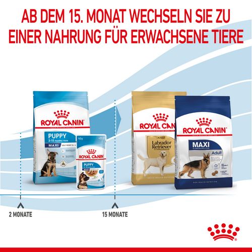 Royal Canin MAXI Puppy Trockenfutter für Welpen großer Rassen 10 kg