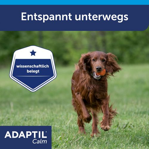 ADAPTIL® Calm Halsband - Anti Stress Erziehungshalsband für mittelgroße & große Hunde