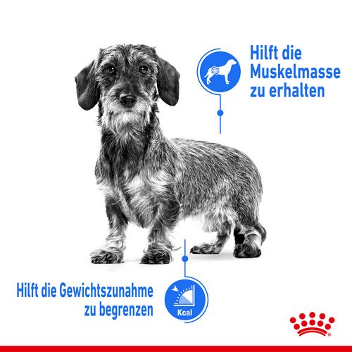 Royal Canin LIGHT WEIGHT CARE MINI Trockenfutter Vorteile