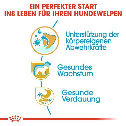 Royal Canin Jack Russell Terrier Puppy Welpenfutter trocken Vorteile