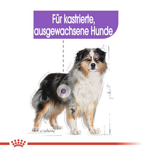 Royal Canin STERILISED MEDIUM Trockenfutter für kastrierte mittelgroße Hunde 12 kg