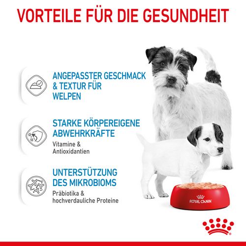 Royal Canin Starter Mousse Mother & Babydog Welpenfutter nass für tragende Hündinnen und Welpen kleiner Rassen von der 2. - 8. Woche 12 x 195 g