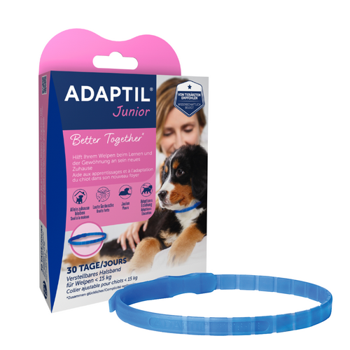 Ceva ADAPTIL® Junior Halsband – für den besten Start ins Hundeleben