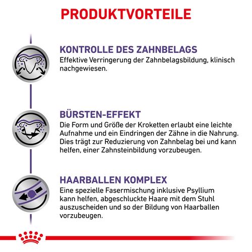 Royal Canin Expert DENTAL Trockenfutter für Katzen