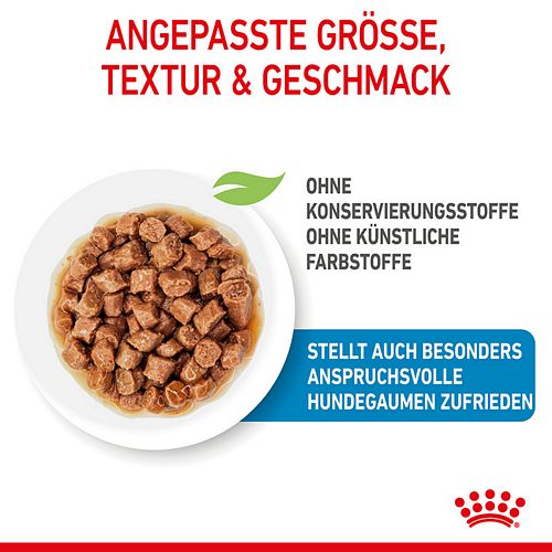 Royal Canin X-SMALL PUPPY - Nassfutter für Hundewelpen sehr kleiner Hunderassen - 12 x 85 g