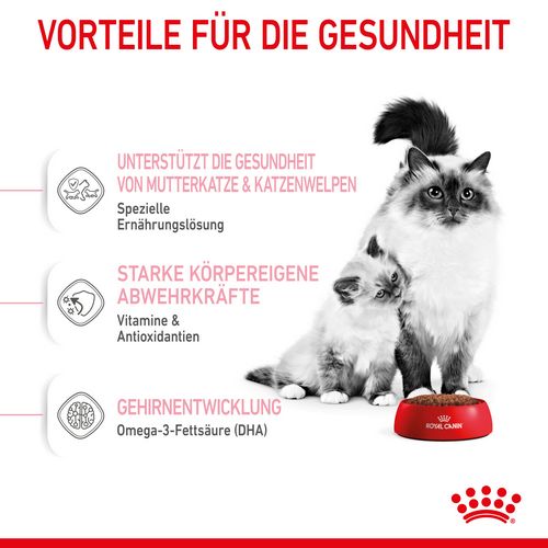 Royal Canin MOTHER & BABYCAT Katzenfutter für tragende Katzen und Kitten 4 kg