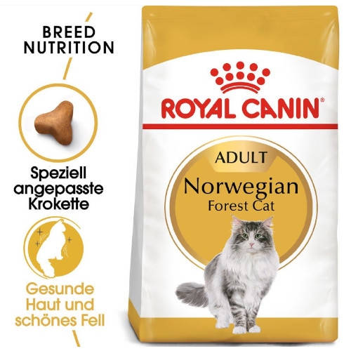 Royal Canin Norwegian Forest Cat Adult Trockenfutter für Norwegische Waldkatzen