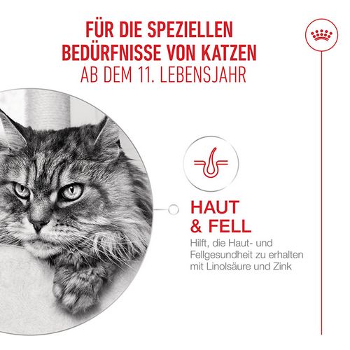 Royal Canin Ageing 11+ Jelly Nassfutter Katze Fell