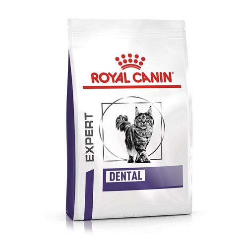Royal Canin Expert DENTAL Trockenfutter für Katzen