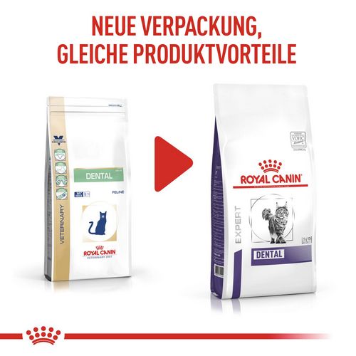 Royal Canin Expert DENTAL Trockenfutter für Katzen