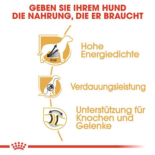 Royal Canin Great Dane Adult Hundefutter trocken Vorteile