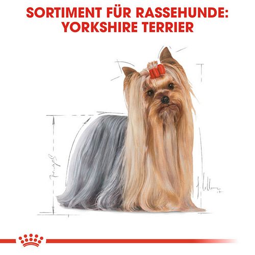 Royal Canin Yorkshire Terrier Adult Trockenfutter