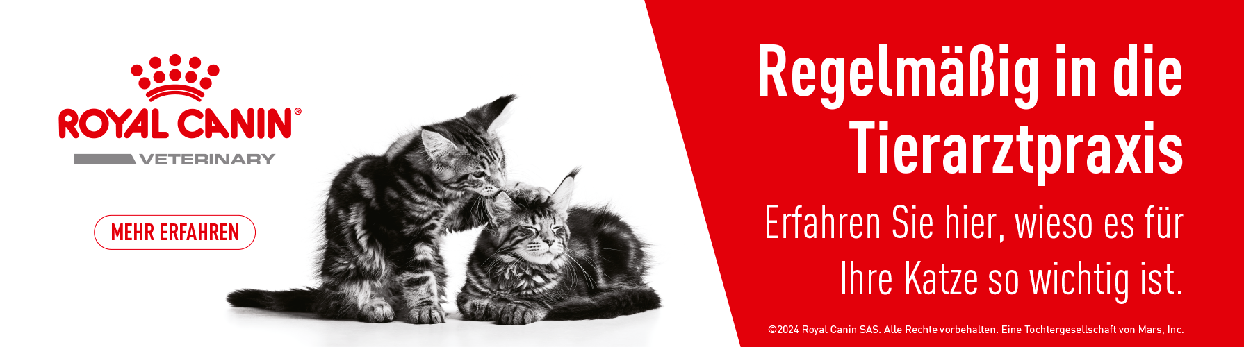 Royal Canin Regelmäßig in die Tierarztpraxis