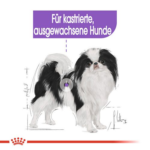 kastrierte ausgewachsene Hunde