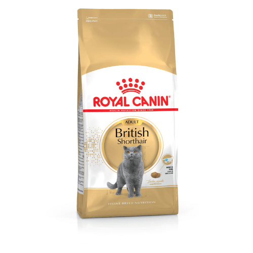 Royal Canin British Shorthair Trockenfutter