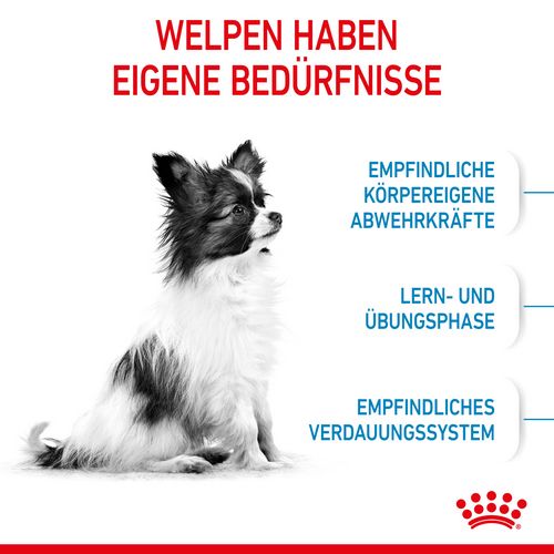 Royal Canin X-SMALL Puppy Trockenfutter für Welpen sehr kleiner Hunderassen 500 g