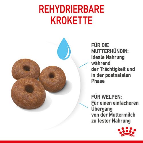 Royal Canin GIANT Starter für tragende Hündin und Welpen sehr großer Rassen Kroketten