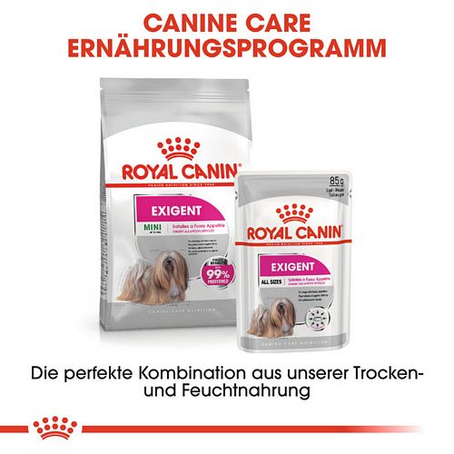 Royal Canin EXIGENT Nassfutter für wählerische Hunde Kombi