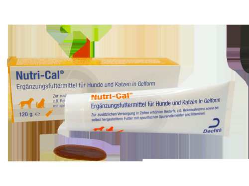 Dechra Nutri-Cal Paste 120 g