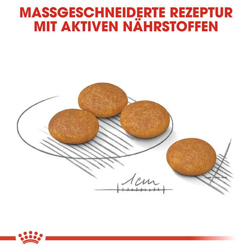 Royal Canin DERMACOMFORT MINI Trockenfutter Kroketten