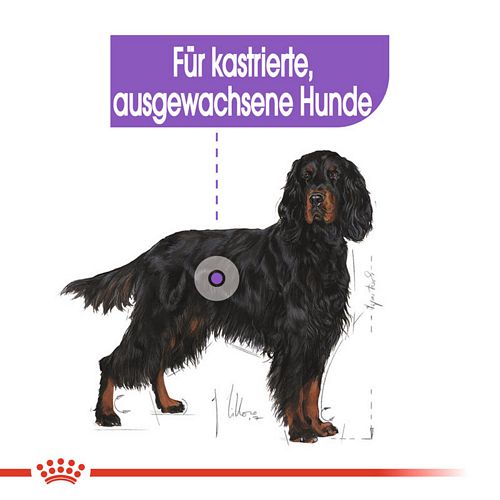 Royal Canin STERILISED MAXI Trockenfutter für kastrierte große Hunde 12 kg