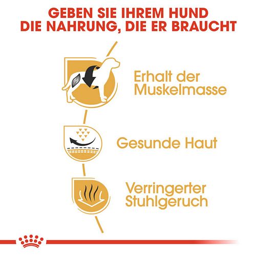 Royal Canin French Bulldog Adult Trockenfutter Vorteile