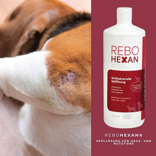 ReboHexan - ANTIBAKTERIELLE SPÜLLÖSUNG Wunde