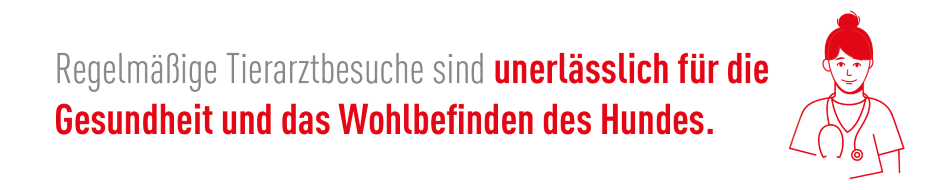Regelmäßige Tierarztbesuche