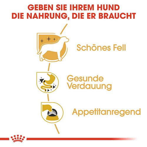 Royal Canin Chihuahua Adult Hundefutter nass in Soße