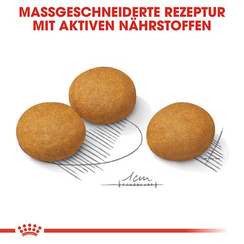 Royal Canin DERMACOMFORT MAXI Trockenfutter Kroketten