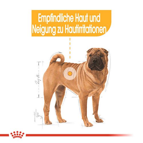 Royal Canin DERMACOMFORT MEDIUM Trockenfutter für mittelgroße Hunde mit empfindlicher Haut