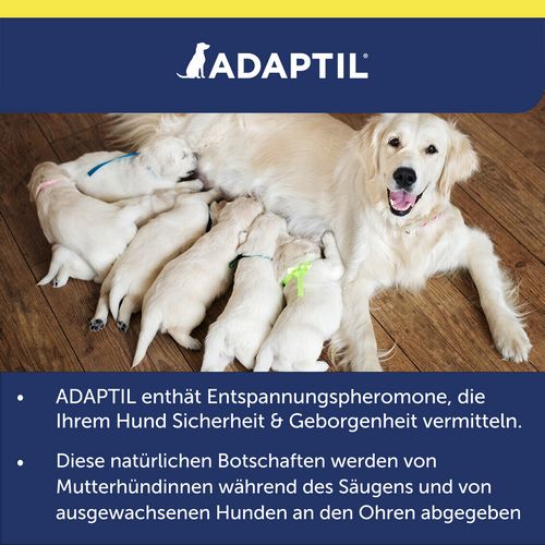 ADAPTIL® Transport Spray 60ml - reduziert Reisestress und Reiseübelkeit von Hunden