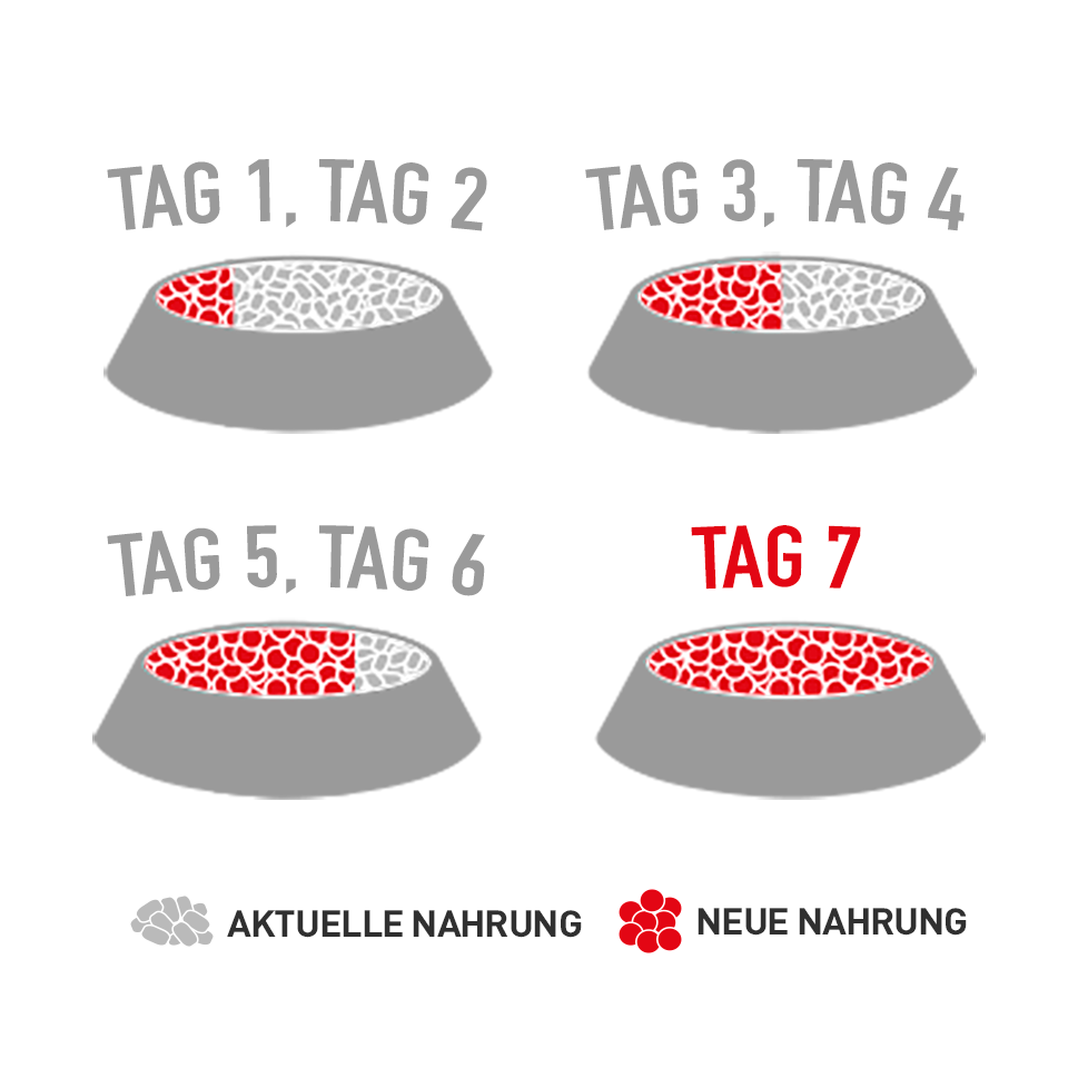 Nahrung Nahrung