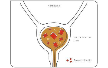 Royal Canin Übersättigung