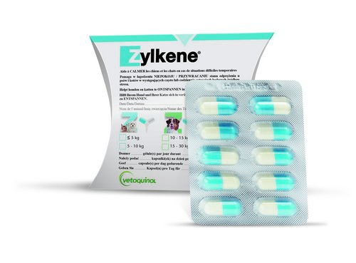 Zylkène 75mg - 10 Kapseln für Katzen und kleine Hunde (≤ 10 kg) - Vetoquinol