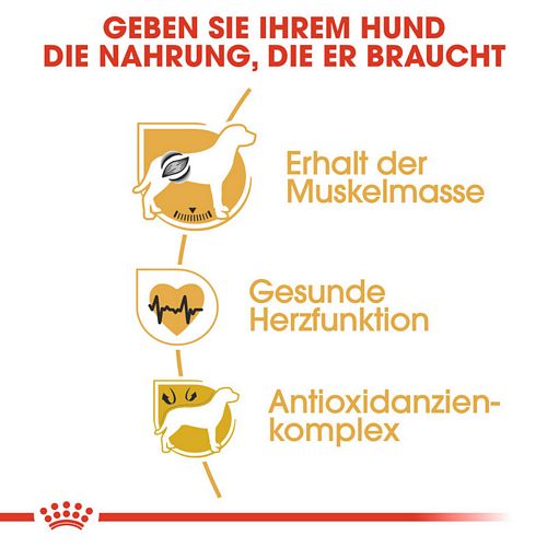 Royal Canin Boxer Adult Trockenfutter für Hunde