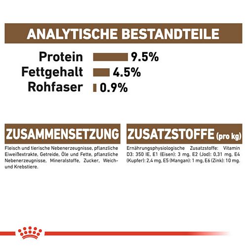 Royal Canin AGEING 12+ in Gelee Nassfutter für ältere Katzen