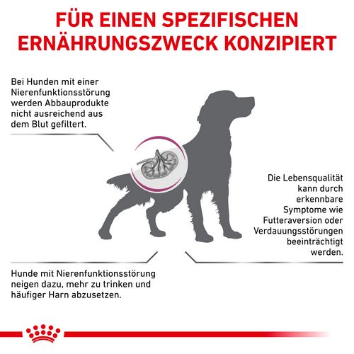 Royal Canin Veterinary RENAL SPECIAL Trockenfutter für Hunde 10 kg