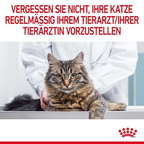 Royal Canin Appetite Control Sterilised Trockenfutter für Katzen