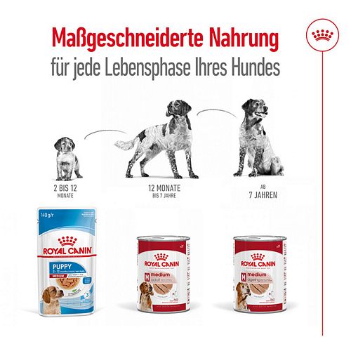 Royal Canin MEDIUM AGEING 12+ - Nassfutter für ausgewachsene mittelgroße Hunde - 12 x 410 g