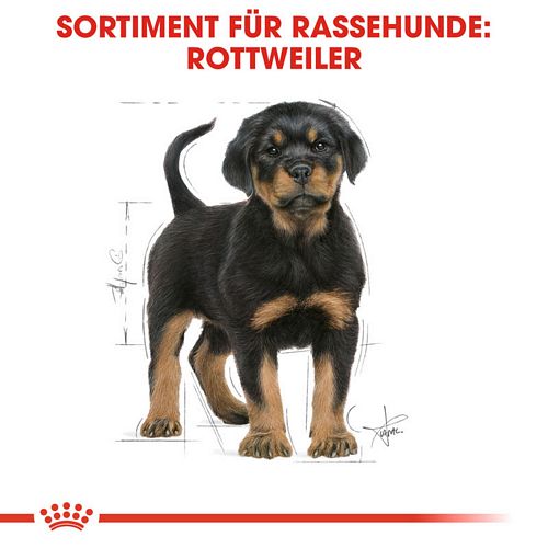 Royal Canin Rottweiler Puppy Welpenfutter trocken