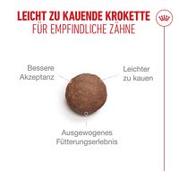 Royal Canin Produkte