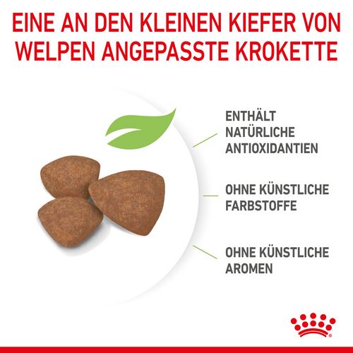 Royal Canin MINI Puppy Trockenfutter für Welpen kleiner Hunderassen Kroketten