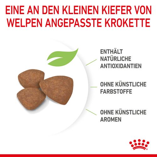 Royal Canin MINI Puppy Trockenfutter für Welpen kleiner Hunderassen 800 g