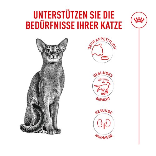 Royal Canin Fussy Exigent Trockenfutter Katze Vorteile