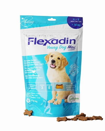 Vetoquinol - Flexadin - Young Dog MAXI - 60 Chews Vetoquinol - Flexadin - Young Dog MAXI - 60 Chews