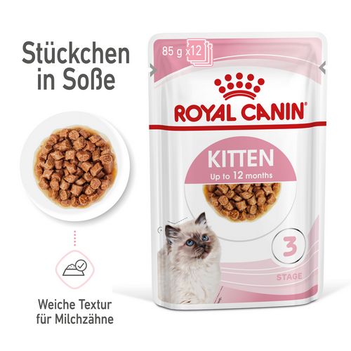 ROYAL CANIN KITTEN Nassfutter in Soße für Kätzchen 12 x 85 g