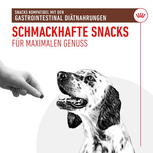 Royal Canin - GASTROINTESTINAL - Treats - 1 x 230 g